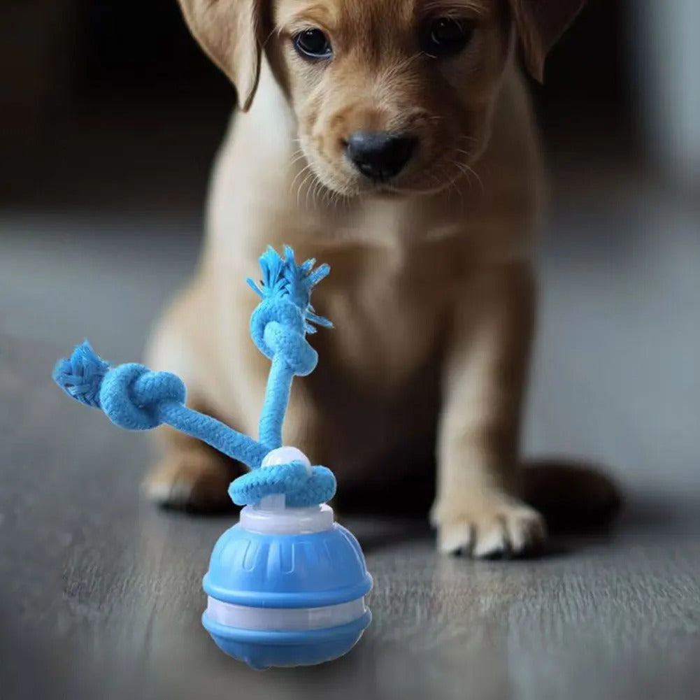 Dog Motion Toy