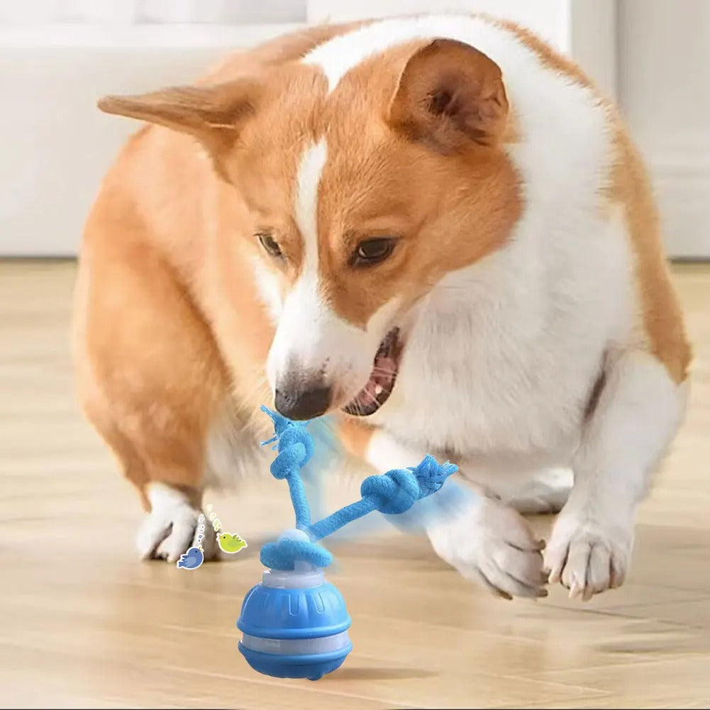 Dog Motion Toy